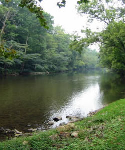 Little River in Townsend