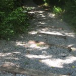 More path - Townsend River Walk