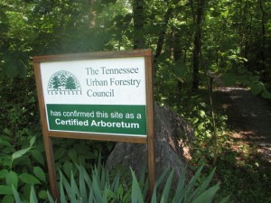 Certified Aboretum - Townsend River Walk