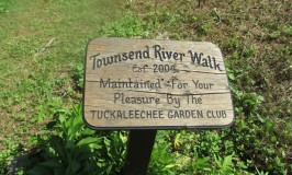 Townsend River Walk sign